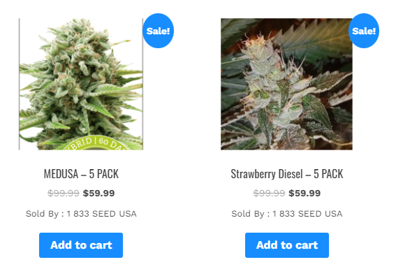 Buy Cannabis Seed Usa Online | Best Cannabis Seeds Usa